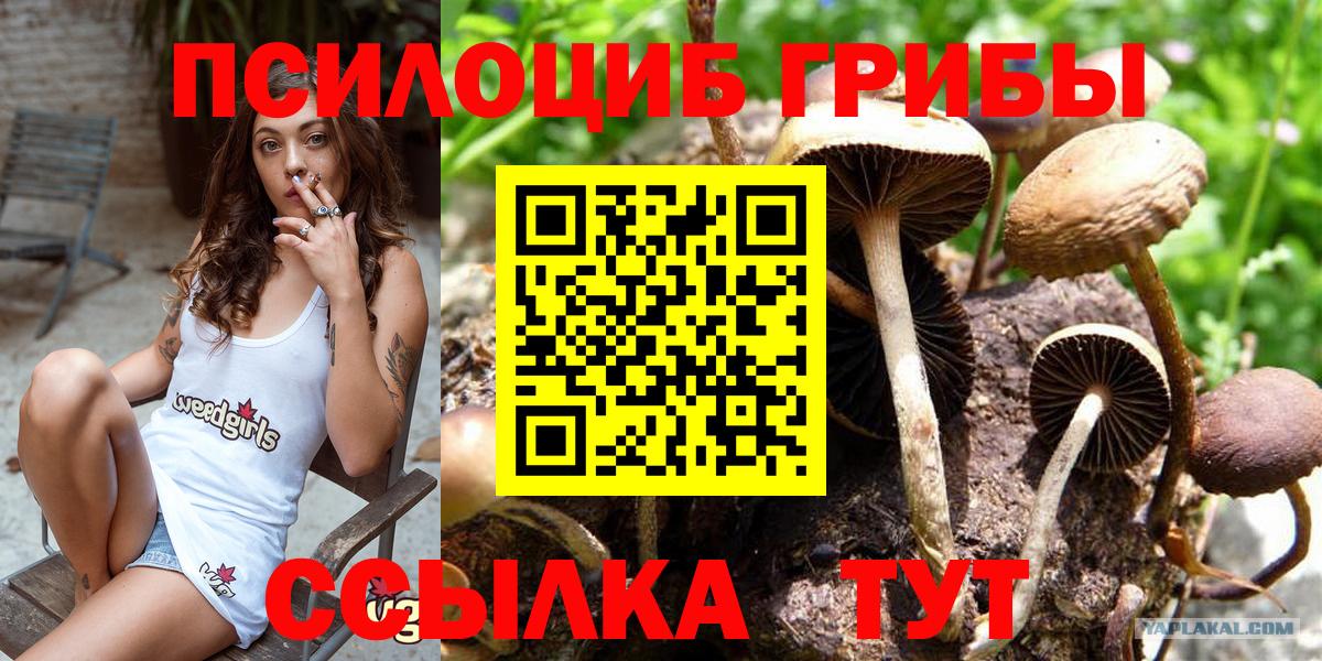 Чистополь  Галлюциногенные грибы GOLDEN TEACHER  Вход с VPN 
