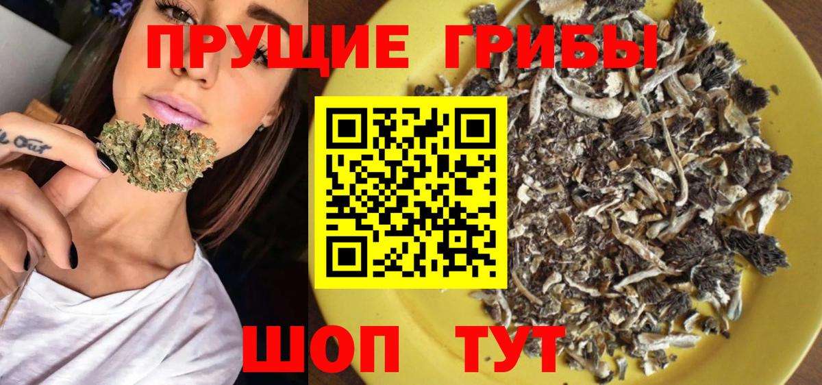 Псилоцибиновые грибы GOLDEN TEACHER Чистополь