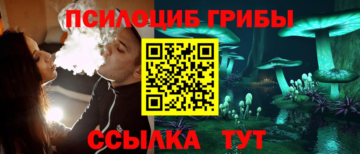 МЕФ Чистополь